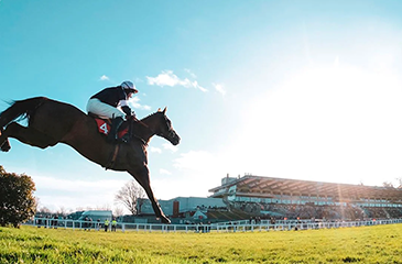 sandown-email-image-2025